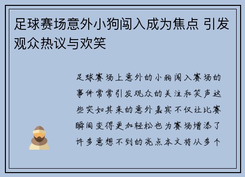 足球赛场意外小狗闯入成为焦点 引发观众热议与欢笑
