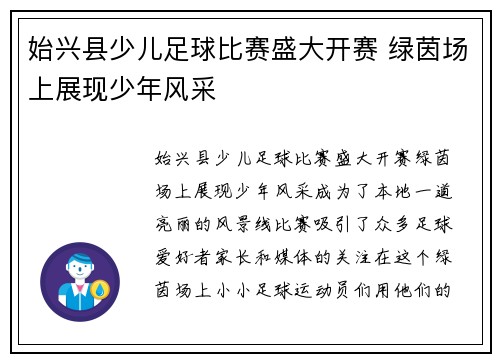 始兴县少儿足球比赛盛大开赛 绿茵场上展现少年风采