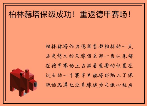 柏林赫塔保级成功！重返德甲赛场！
