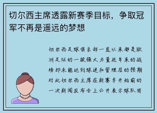 切尔西主席透露新赛季目标，争取冠军不再是遥远的梦想